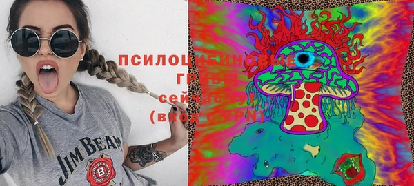 шишки Абинск