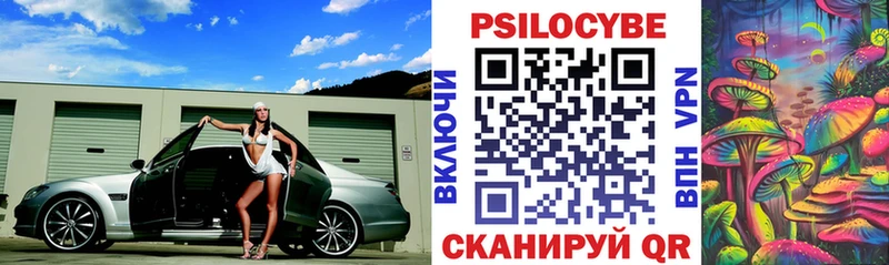 Псилоцибиновые грибы Psilocybe  купить наркоту  Лиски 